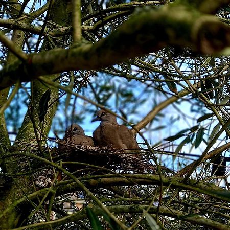 Апартаменти De Oude Smederij Voor 2 Personen In 'T Veld De Leijen Екстер'єр фото